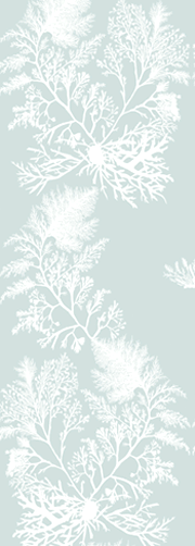 Weed sea mist pale.