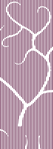 Antler stripe cass.