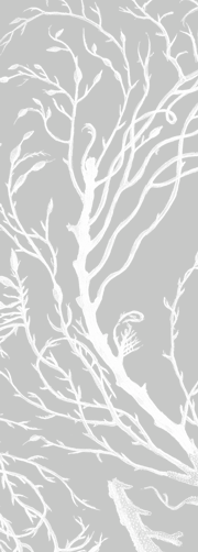 Fern largegrey chair.