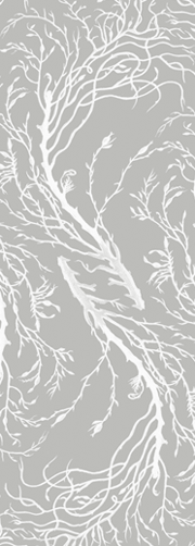Fern grey chair.